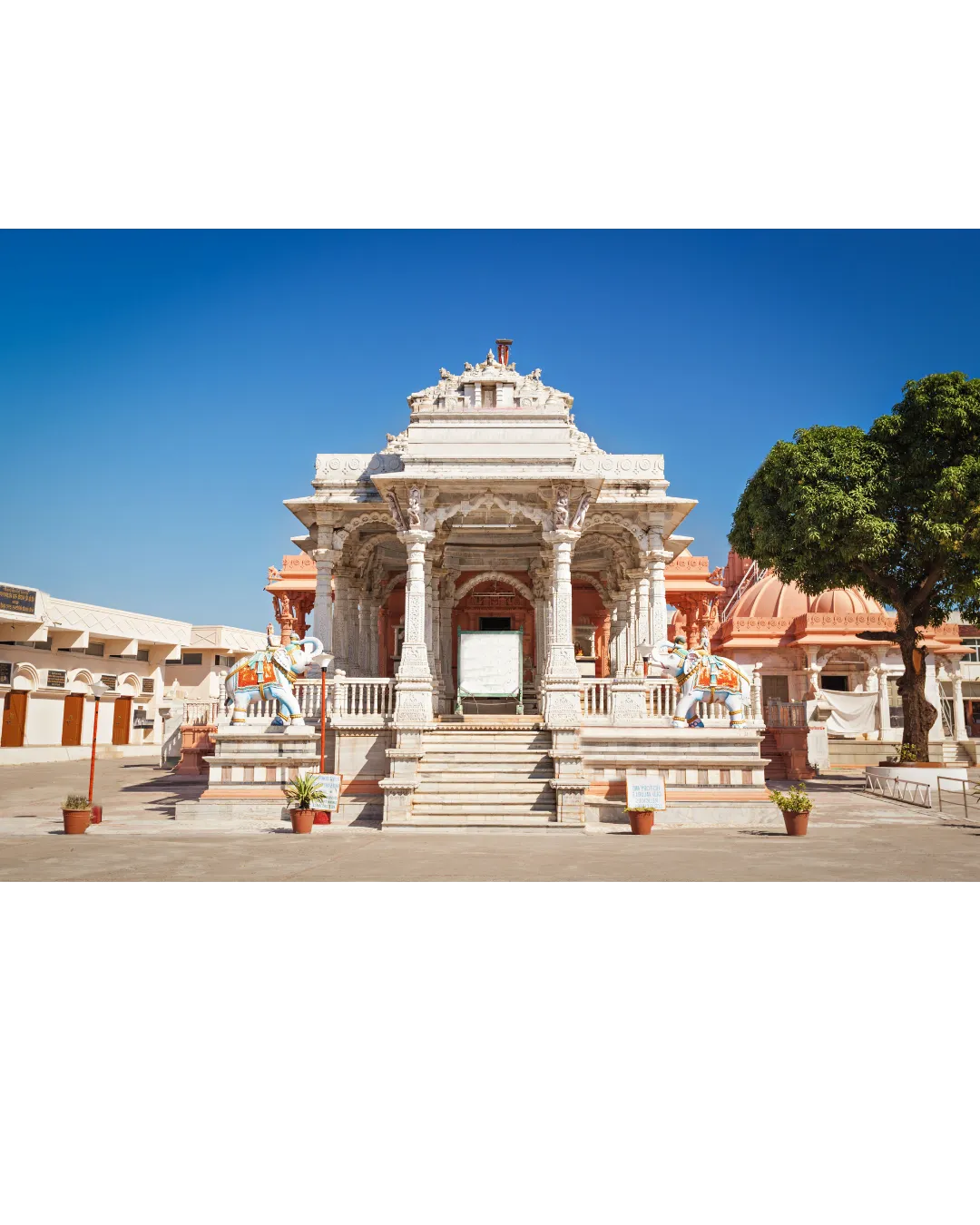 LEJC Mission — Jain Community Awareness